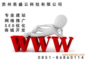主流的網(wǎng)站建設(shè)信息與可信服務(wù)指南